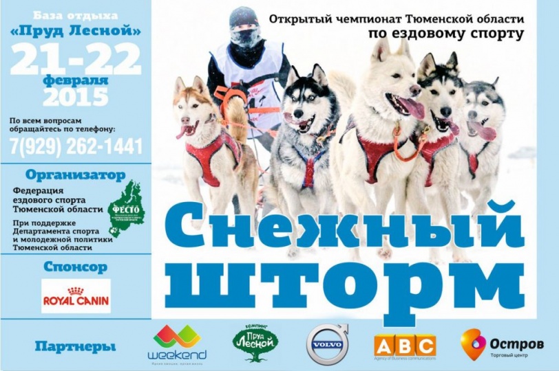 Снежный шторм 21 и 22 февраля